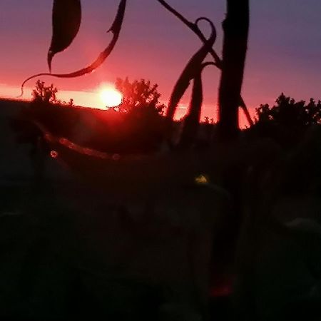 Ferienwohnung Am Haffberg Neverow Bagian luar foto