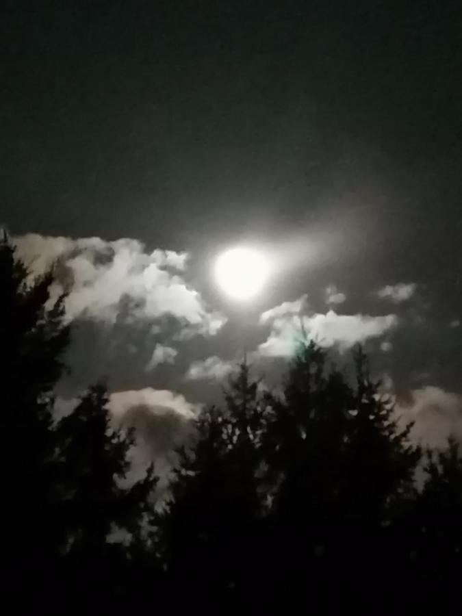 Ferienwohnung Am Haffberg Neverow Bagian luar foto