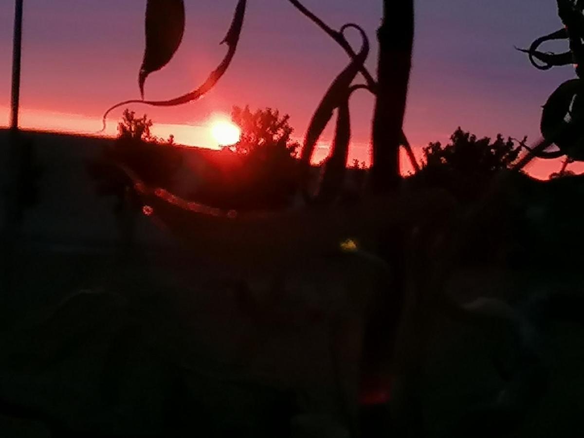 Ferienwohnung Am Haffberg Neverow Bagian luar foto