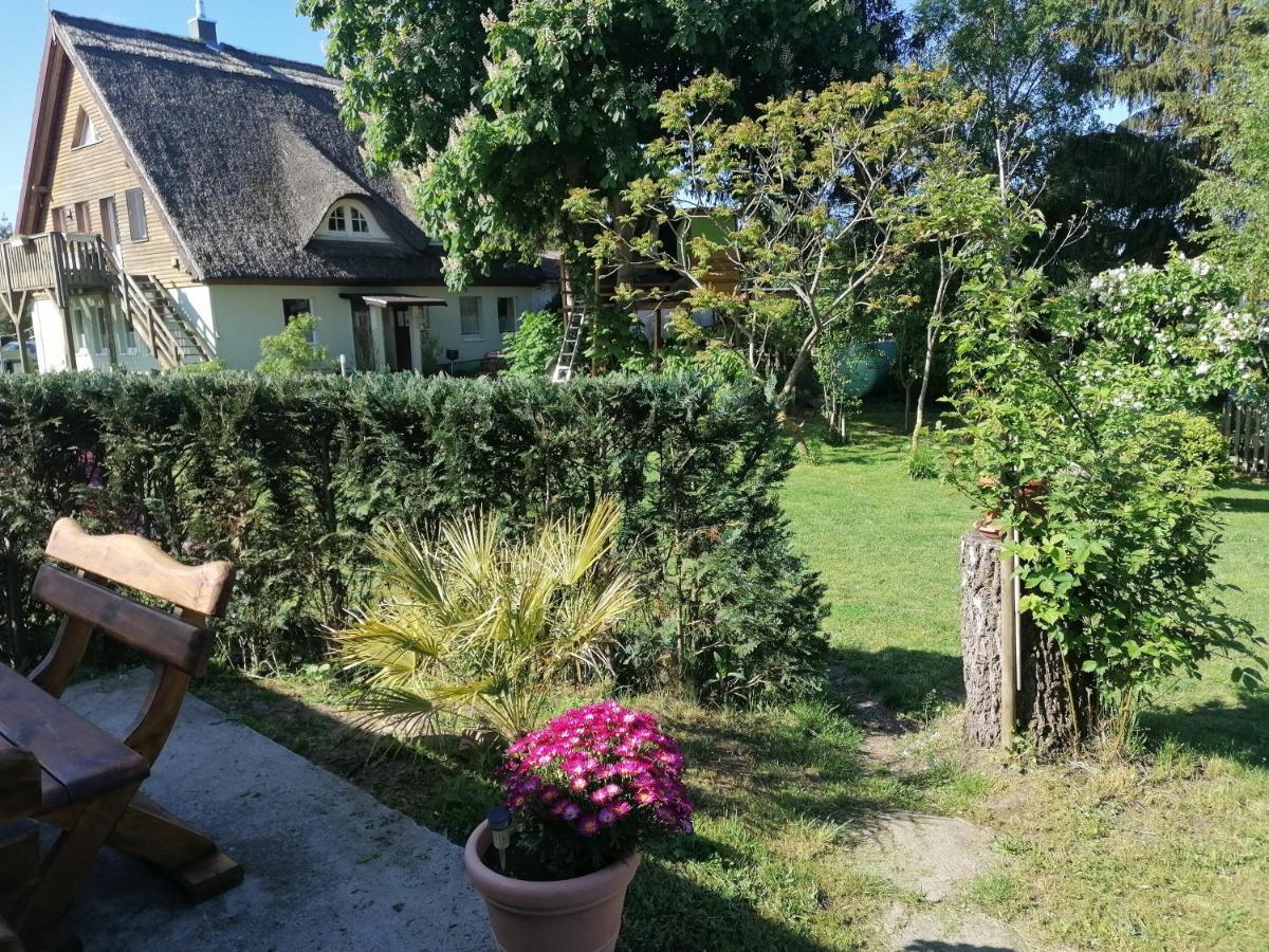 Ferienwohnung Am Haffberg Neverow Bagian luar foto