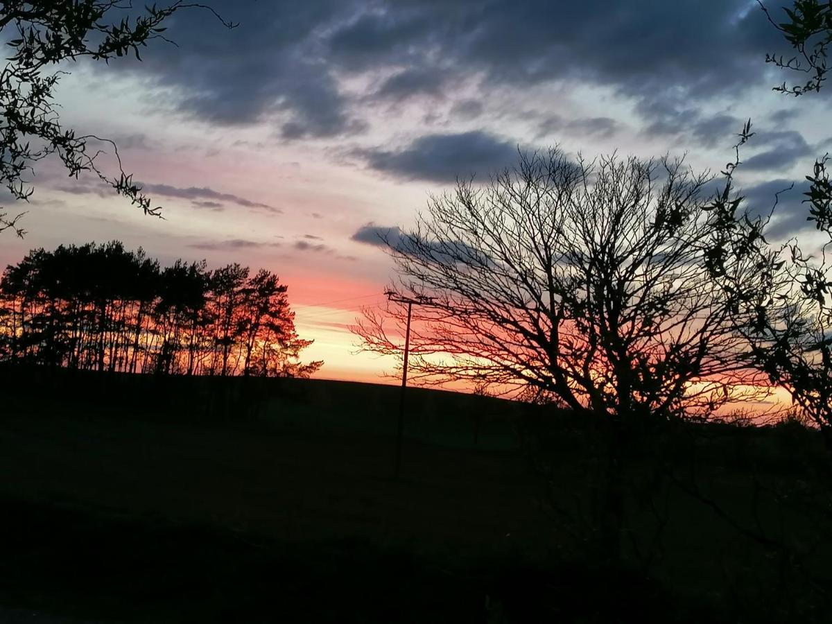 Ferienwohnung Am Haffberg Neverow Bagian luar foto